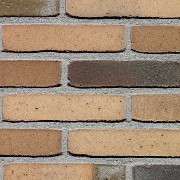 Кирпич облицовочный Terca Hoornbloem, 210х100х50 мм